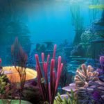 Aquarium-Wallpaper-aquariums-40193618-1280-800